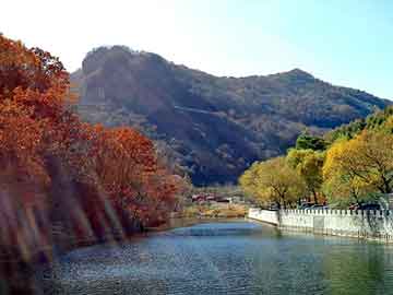 新澳门二四六天天彩，环氧大豆油价格